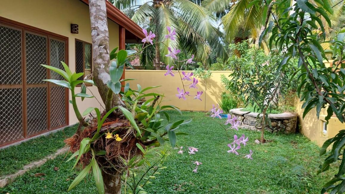 El-Nivasa Villa In Weligama Luaran gambar
